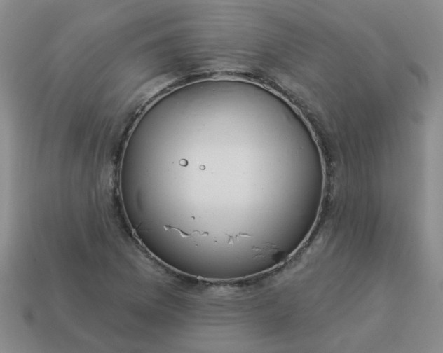 X0000114131169200910221458