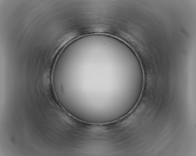 X0000114131170200910221458