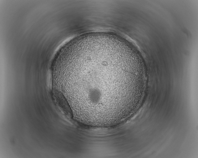 X0000114131171200910221458