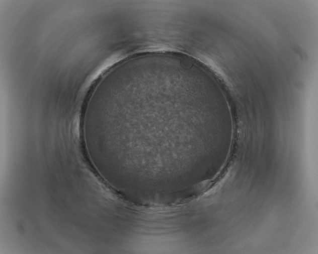 X0000114131173200910221458