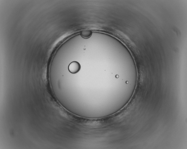 X0000114131174200910221458