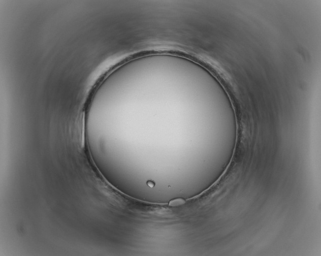 X0000114131175200910221458