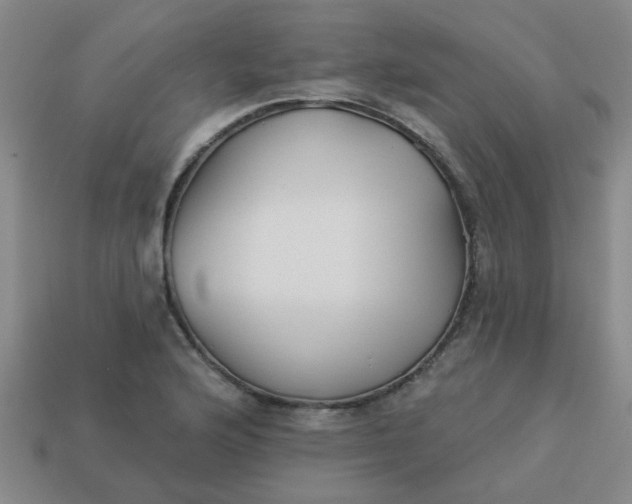 X0000114131176200910221458