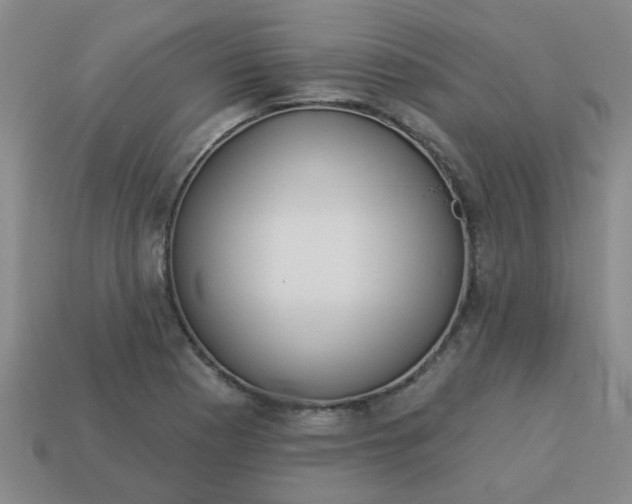 X0000114131177200910221458