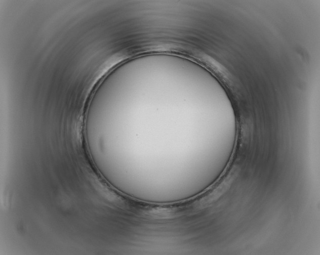 X0000114131178200910221458