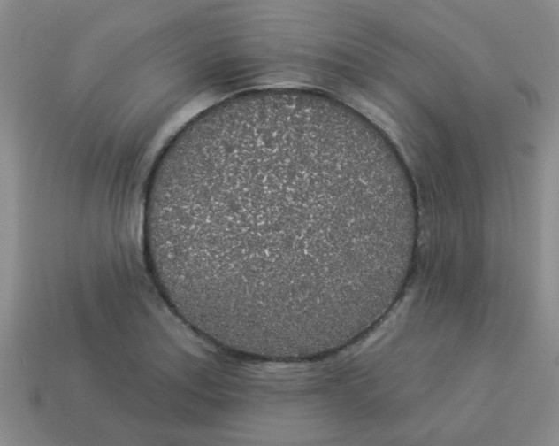 X0000114131179200910221458