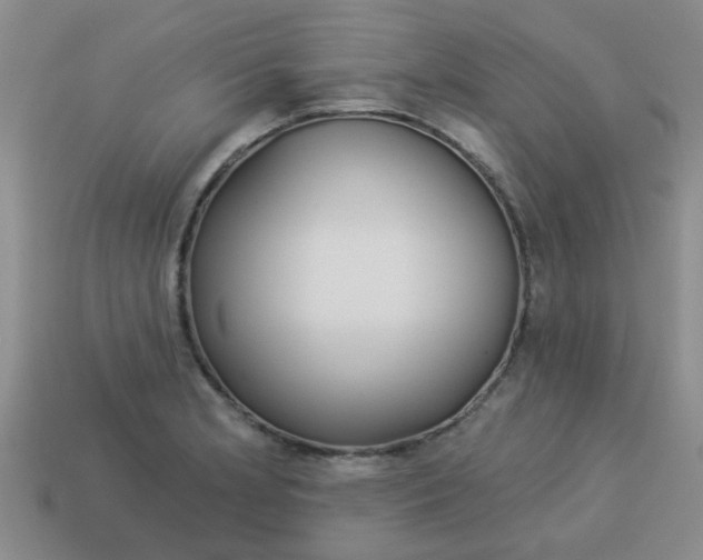 X0000114131181200910221458