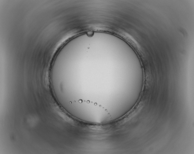 X0000114131182200910221458