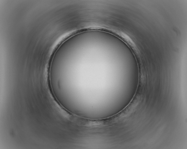 X0000114131183200910221458