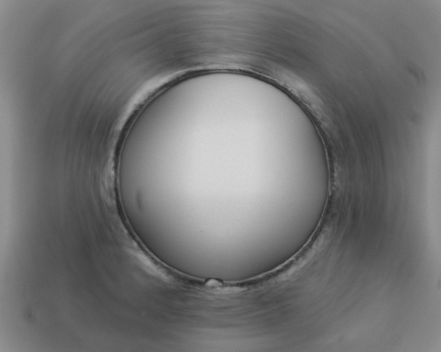 X0000114131184200910221458