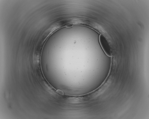 X0000114131185200910221458