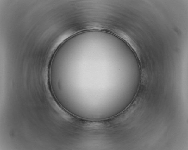 X0000114131187200910221458