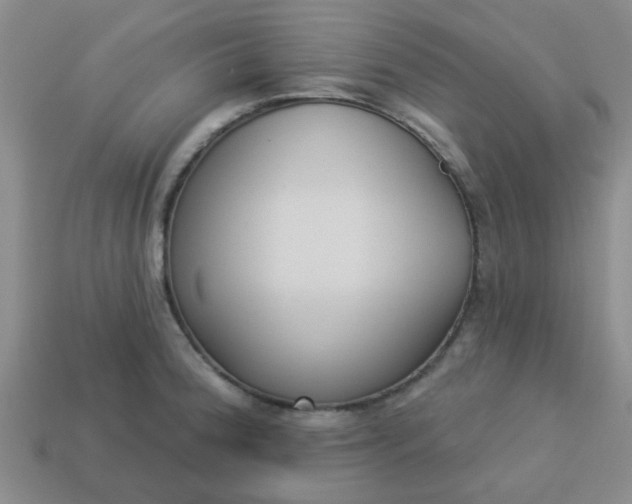 X0000114131188200910221458