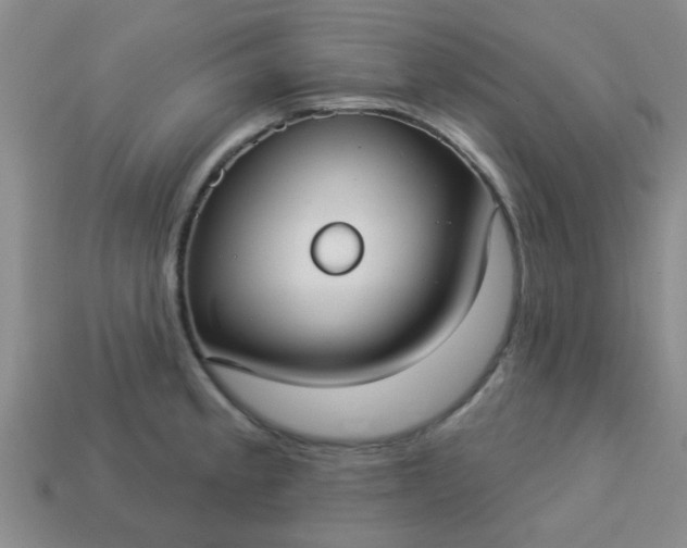 X0000114131189200910221458