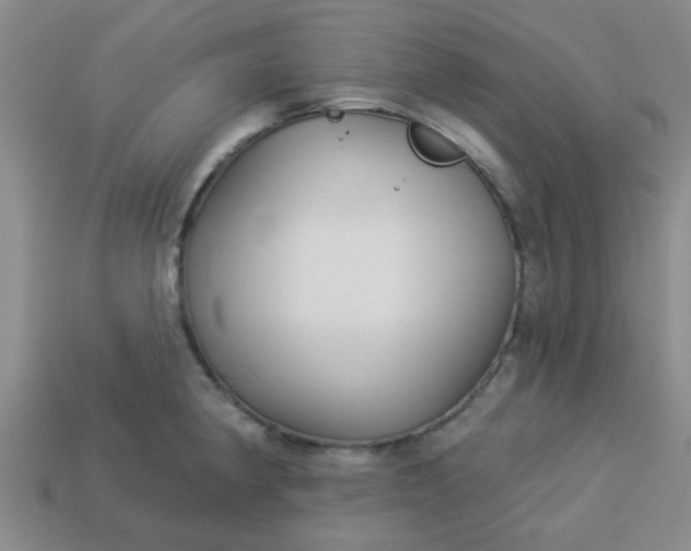 X0000114131190200910221458