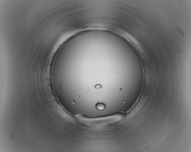 X0000114131192200910221458