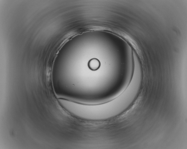 X0000114131193200910221458