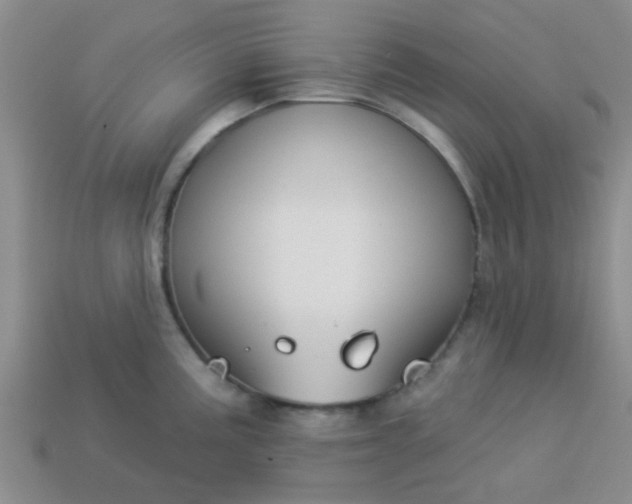 X0000114131195200910221458