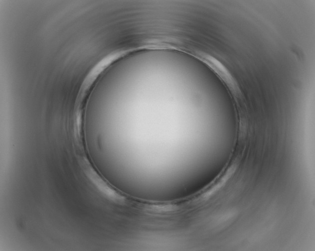 X0000114131196200910221458