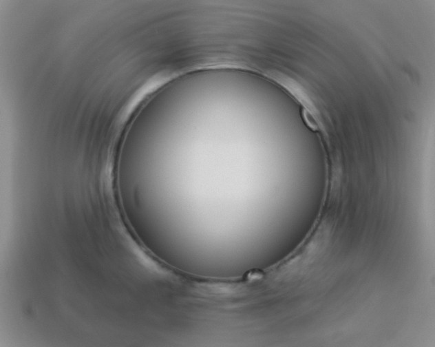 X0000114131197200910221458