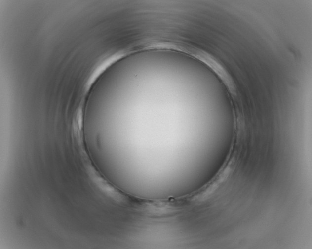 X0000114131198200910221458