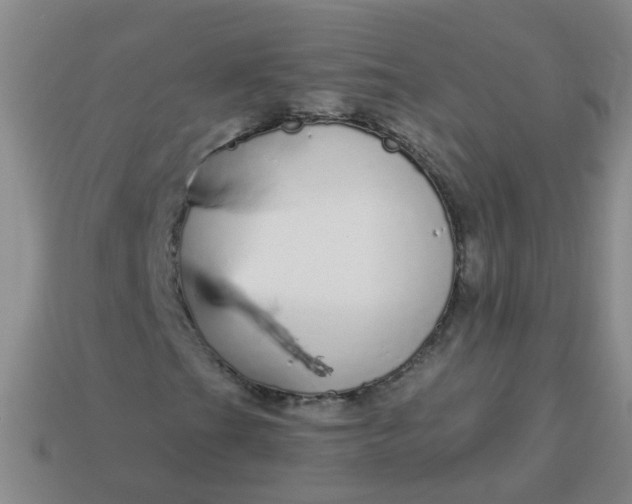 X0000114131201200910221457