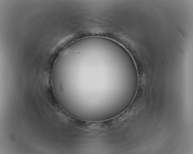 X0000114131205200910221457