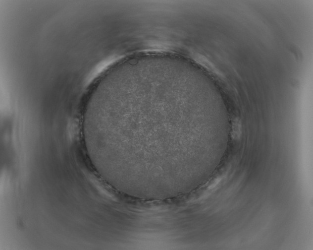 X0000114131208200910221457