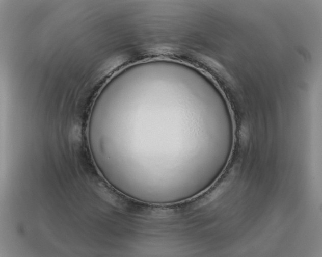 X0000114131209200910221457