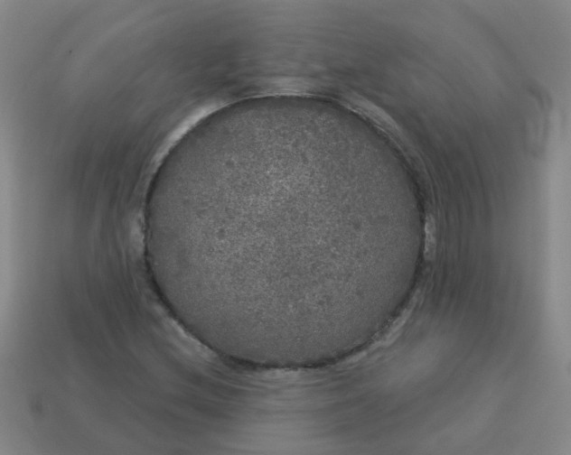 X0000114131212200910221457