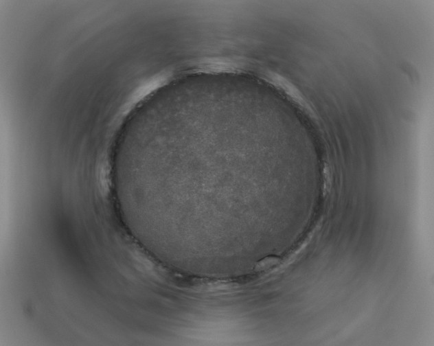 X0000114131213200910221457