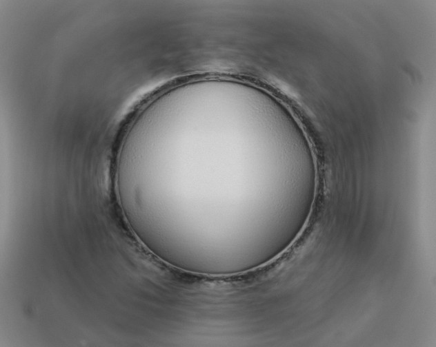 X0000114131214200910221457