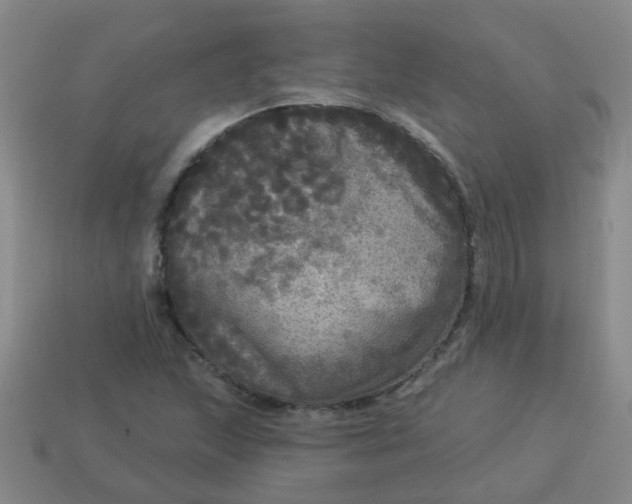 X0000114131215200910221457