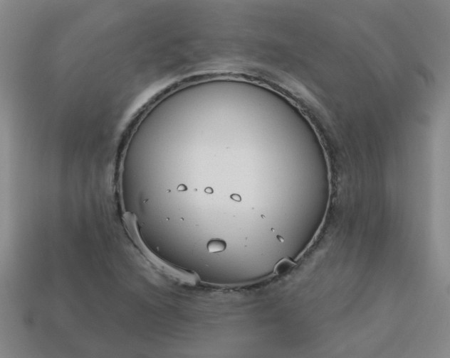 X0000114131216200910221457