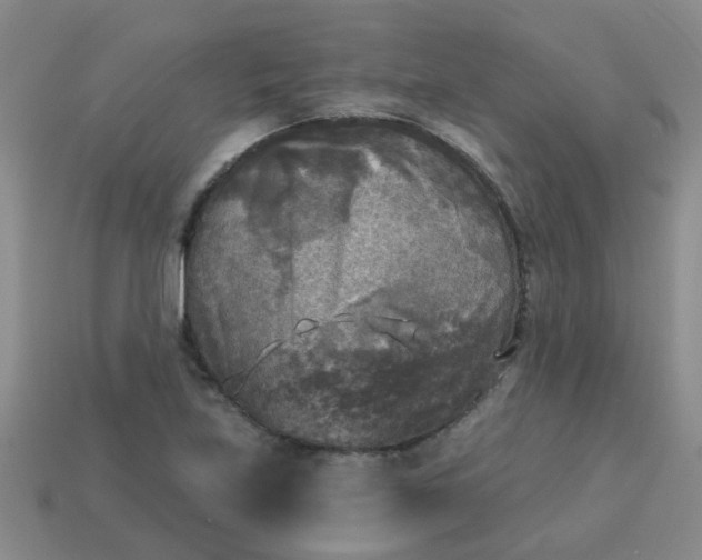 X0000114131219200910221457