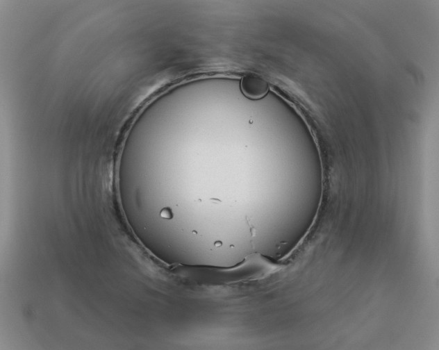 X0000114131220200910221457