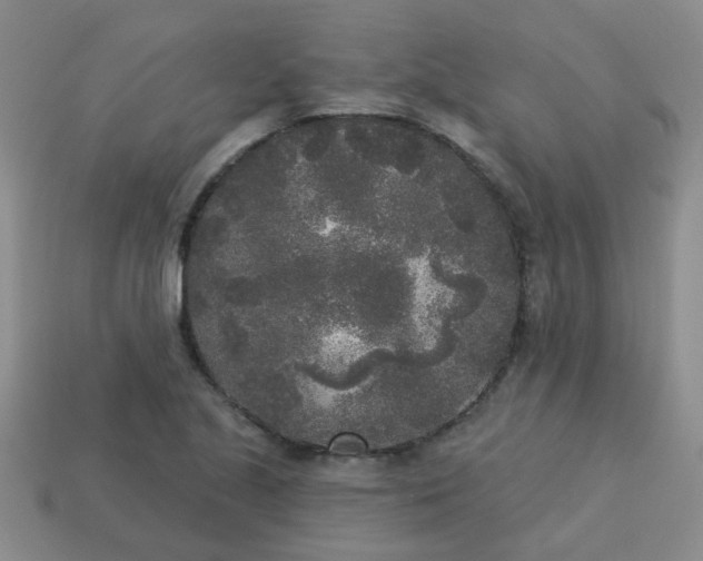 X0000114131221200910221457