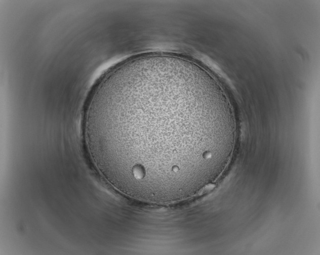 X0000114131222200910221457