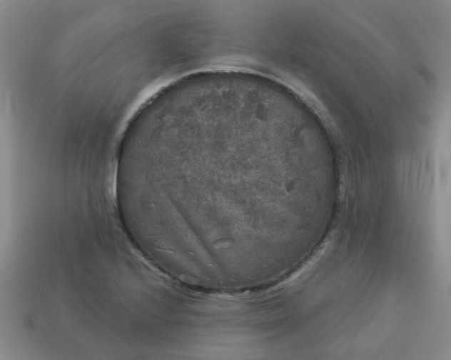 X0000114131224200910221457