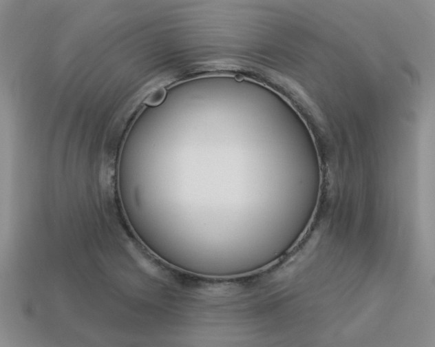 X0000114131225200910221457