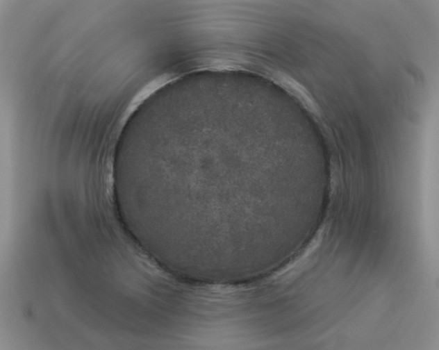 X0000114131226200910221457