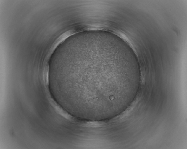 X0000114131227200910221457