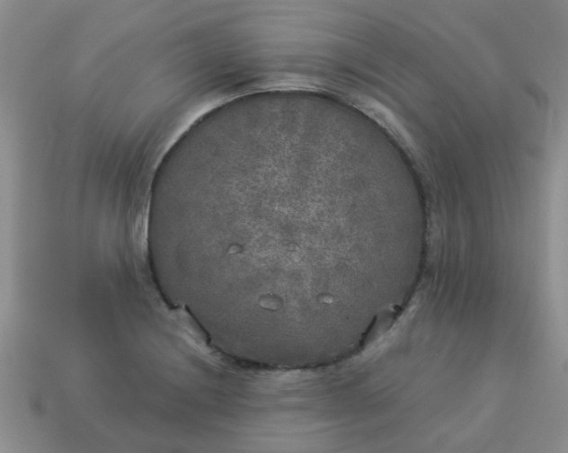 X0000114131228200910221457