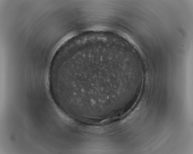 X0000114131229200910221457