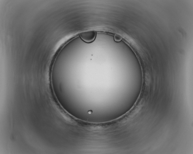 X0000114131230200910221457