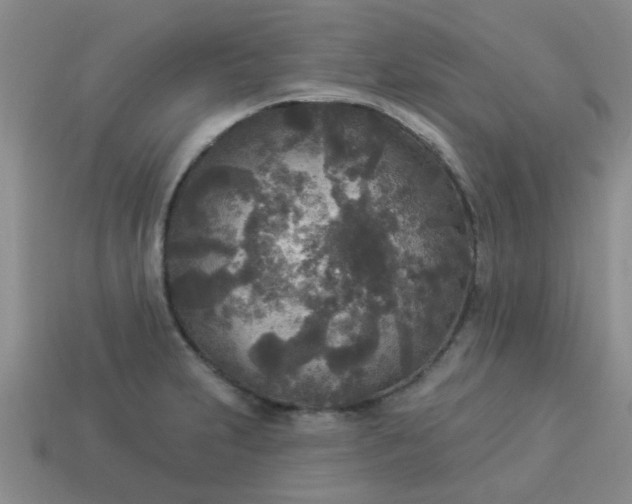 X0000114131231200910221457