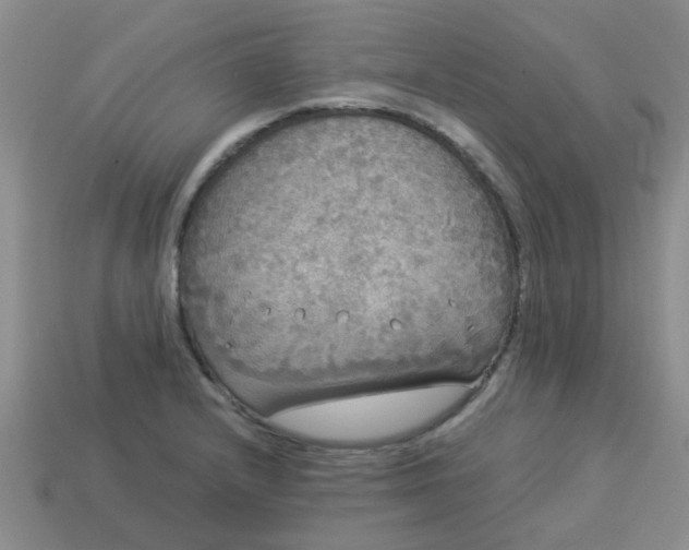 X0000114131232200910221457