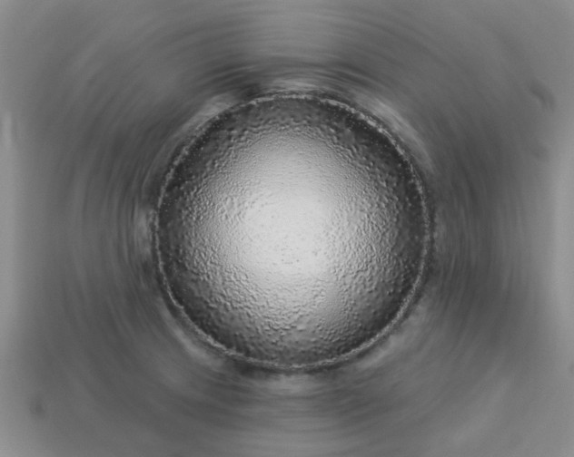 X0000114131233200910221457