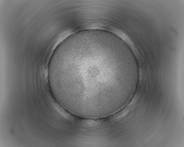 X0000114131234200910221457