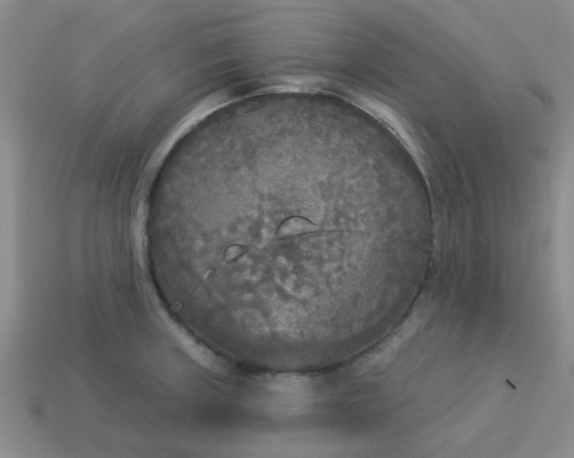 X0000114131235200910221457